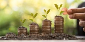 how to protect your wealth