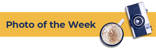 weekly market insight 7