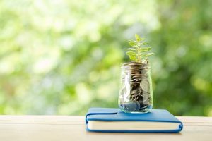 wise money management
