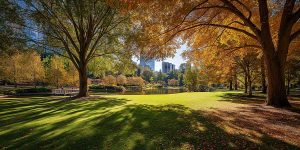 Charlotte, NC