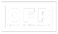 Certified Financial Planner